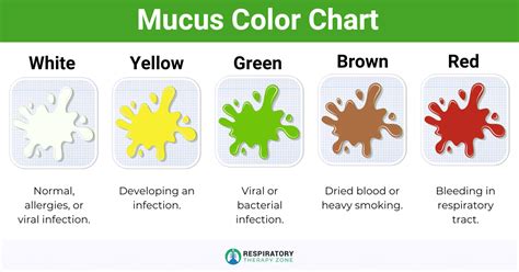 dilated mucus plug color chart|Phlegm Color Chart: What the Color of Your Phlegm。